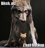 Tai the Dark Wolf
