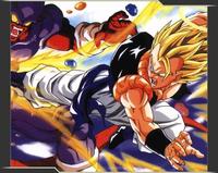 100dragonballzfan