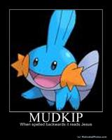 Mudkips_