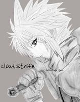 SkyXI