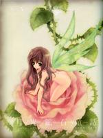 leafsky_
