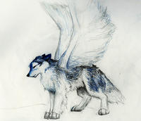 Bluu~Wulf