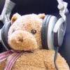 squarebear