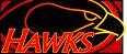 Hawk2008