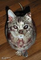 Zombie Kitten