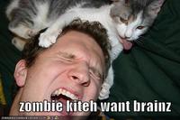 Zomgbeez