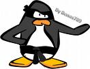 ninja_penguin07