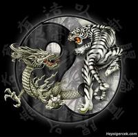 bebo_1401