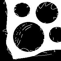 TigerYoshiki