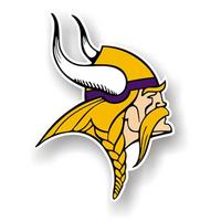 viking guy