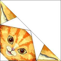 Cats and Bats's Avatar