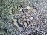 MyTwist