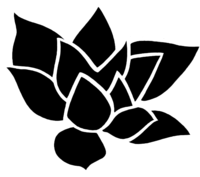 Lumen07
