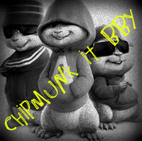 Chipmunkitbby