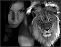 -Lioness-