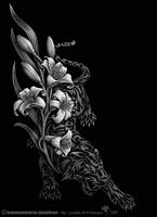 nocturnal_soul