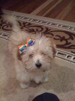 maddie.c