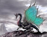 lightfire228