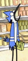 MordecaiBlueJay