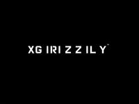 xG IRi z Z IL y