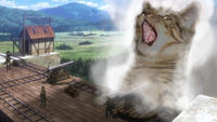 Senith