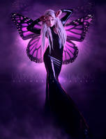 LadyButterfly