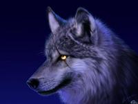 WolfsRam