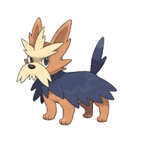 Foxpaw