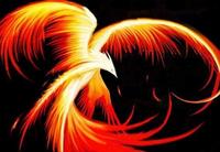 Fire-Bird