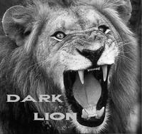Dark_Lion666