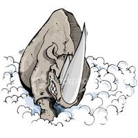 The_White_Rhino