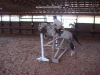 Eventer4221