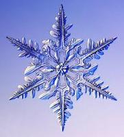 Frostysizzle