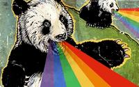 flippingpanda