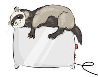 Pi.'s Avatar