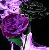 Nunnally22