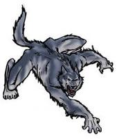 wolfman19