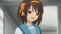 xHaruhix