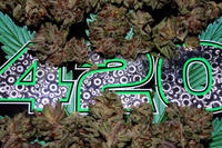 edgeinsmyhomie