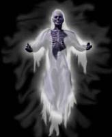 EcHoSpIrIt