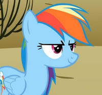 Rainbow-Dash