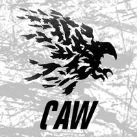 Crowbot