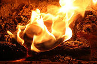 Burning Embers