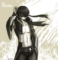 blindhollander