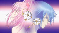 AoiYakuzaPrincess