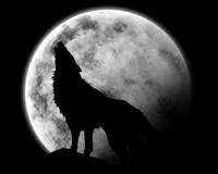 WolfGirl6768