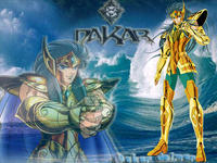 dakar delmar