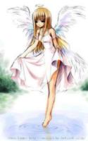 Ocha_Ken1