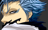 Aoi Pantera