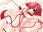 Hachiko_Sen